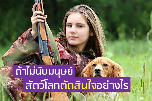 ถ้าไม่นับมนุษย์ สัตว์โลกตัดสินใจอย่างไร