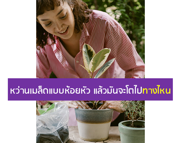 แรงโน้มถ่วง คน และ พืช